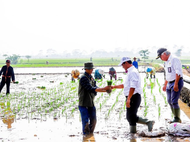 Kunjungi Kabupaten Bandung, Mentan Amran Ajak Petani Percepat Waktu Tanam