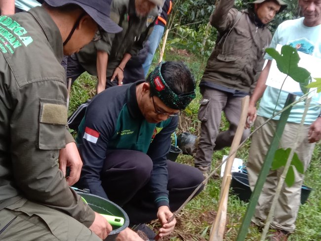 Bupati Bandung Dadang Supriatna Hadiri Puncak Peringatan Hari Menanam Pohon Indonesia di Wana Wisata Batu Kuda