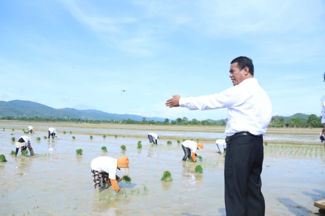 Pastikan Pupuk Subsidi Aman, Mentan Amran Dorong Petani Konawe Wujudkan Swasembada