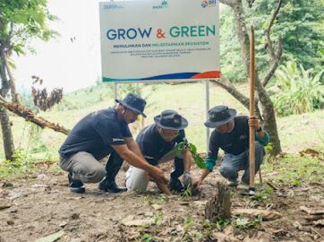 Bangkitkan Harapan Petani di Lahan Kritis, BRI Menanam Grow & Green Salurkan Bantuan Tanaman Produktif