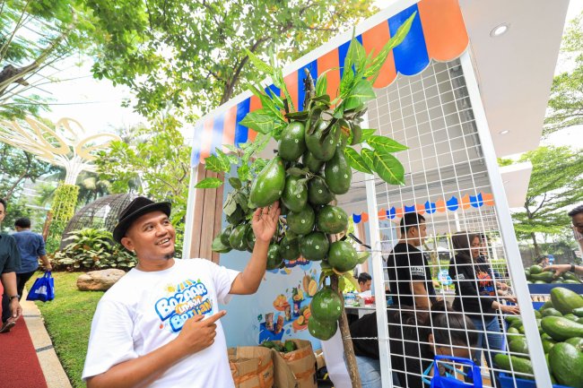 Berkat Program Pemberdayaan BRI Klasterku Hidupku, Petani Ini Berhasil Kembangkan Budidaya Alpukat