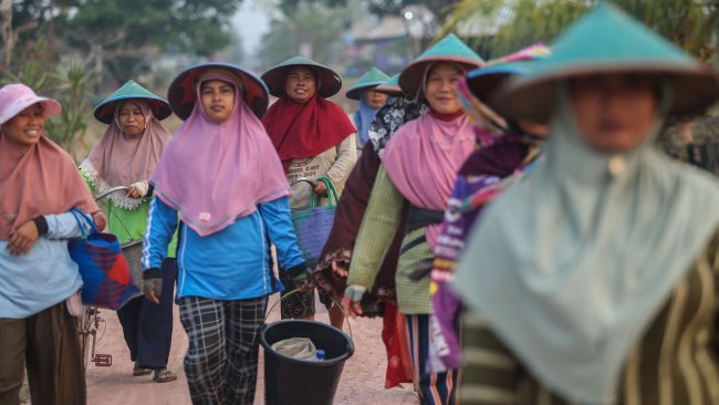Lewat Pembiayaan dan Pemberdayaan, BRI Sukseskan Program Makan Bergizi Gratis