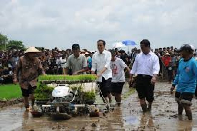 Siasat Jokowi Mendongkrak Daya Beli Bergerak dari Pedesaan