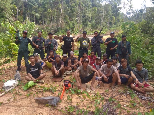 KLHK, TNI dan Polda Tangkap 17 Pelaku Pembalakan Liar di Sambas 