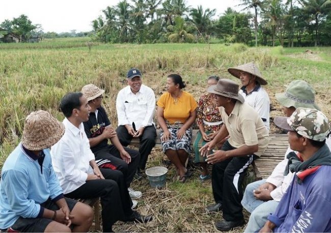 Presiden Jokowi: Irigasi Kecil dan Jalan Produksi untuk Distribusi Pendapatan 