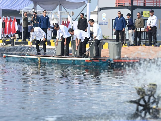 Permintaan Global Sangat Besar, Jokowi Bisiki Pemerintahan Baru Lanjutkan Budidaya Ikan Nila