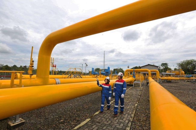 Siap Kembangkan Energi Berkelanjutan di IKN, Ini Portofolio Energi Hijau Pertamina