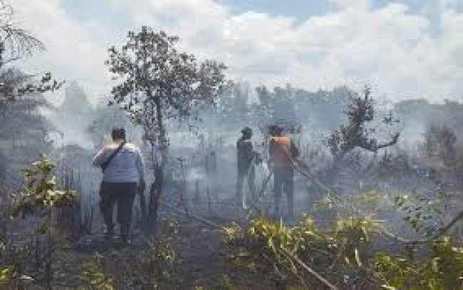 Komitmen Polda Kalteng Tangani Karhutla: Tindak Tegas Dua Pelaku Pembakar Lahan di Seruyan
