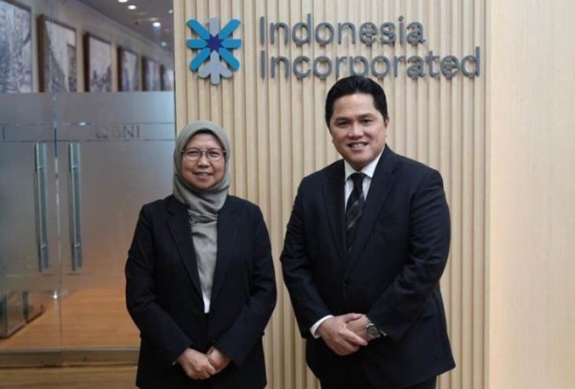 Erick Thohir Ajak PLN Kolaborasi dengan Perusahaan Energi China