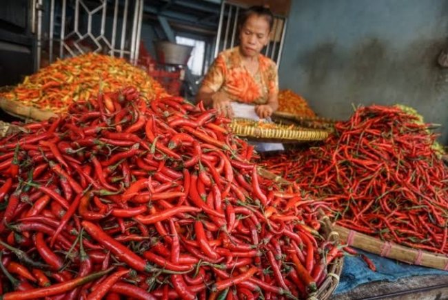 Kementan Ajak Stakeholder Bantu Beli Cabai Petani