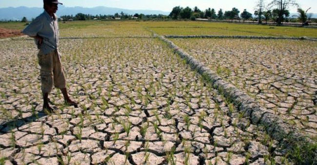 Musim Kemarau Bikin Petani Karawang Rogoh Kocek Lebih Dalam, Sewa Pompa untuk Mengairi Sawah