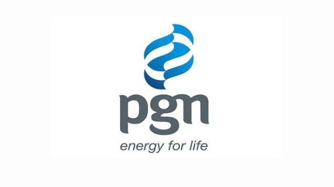 Topang Kinerja Perseroan, PGN Fokus Optimalisasi Sektor Bisnis