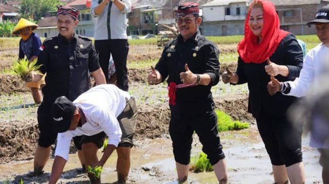 Pertahankan Ketersediaan dan Ketahanan Pangan Hadapi El Nino, Mentan Tanam dan Panen Padi di Semarang