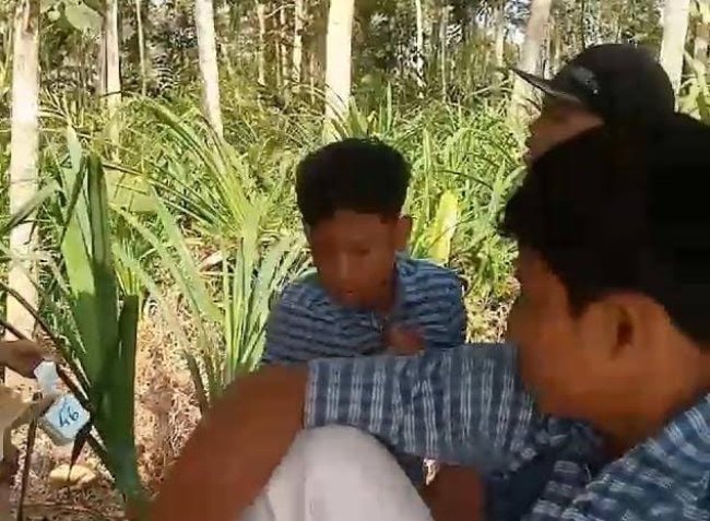 Viral Bullying Siswa SMP 2 Cimanggu Cilacap: Pelaku Ditangkap  