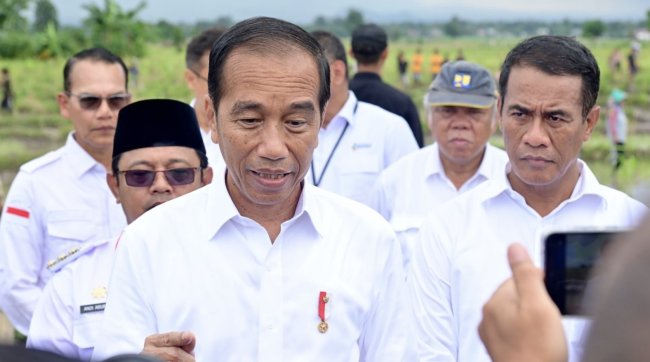Jokowi: IKN Dongkrak Pertumbuhan Ekonomi Sektor Pertanian Daerah Sekitar