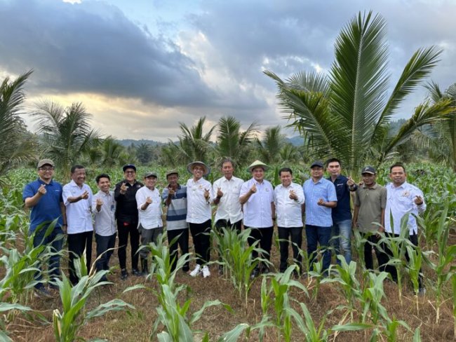 Kadin Berdayakan Petani Jagung Lewat Sulteng Corn Collaboration 4.0