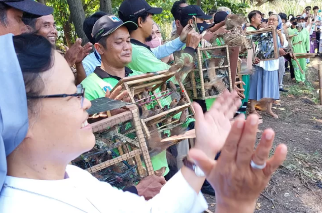 Fransiskan Misionaris Maria Berkarya di Indonesia: Tanam 990 Mangrove dan Lepas 990 Burung di Pesisir Jakarta