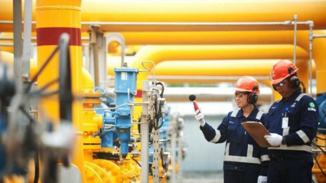 Lapangan Abadi: Harapan Baru Ketahanan Energi dan NZE Indonesia