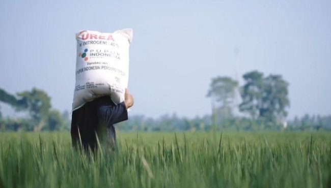Pangkas 145 Regulasi, Kebijakan Distribusi Pupuk Langsung Ke Petani Dinilai Tepat