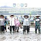 Wamentan Harvick Tanam Padi Serentak di Provinsi Bengkulu, Dorong Petani Tingkatkan Produksi