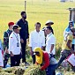 Di Ngawi, Presiden Jokowi Didampingi Mentan SYL Panen Raya Padi 