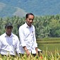 Presiden Jokowi Apresiasi Gebrakan Mentan Amran Lakukan Percepatan Tanam Padi