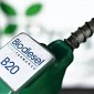 Harga Biodiesel Bulan Mei 2024 Naik Jadi Rp12.453 per Liter