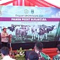 Ketua Komisi IV DPR RI Bangga Kementan Panen Pedet