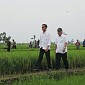 Presiden Jokowi Kunjungi Program Padat Karya Irigasi di Tegal