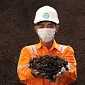Sukses Uji Coba 100 Persen Biomassa, PLN Lanjutkan Operasi PLTU Sintang 3×7 MW Tanpa Batubara