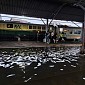 Imbas Banjir di Semarang, Perjalanan Kereta Api Jalur Pantura Alami Keterlambatan