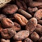 Potensi Indonesia Memaniskan Kinerja Industri Pengolahan Kakao