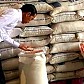 Presiden Jokowi Soal Harga Beras Melonjak Ugal-ugalan: Gagal Panen Gara-gara El Nino