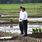 Ketersediaan Pupuk Subsidi Aman, Jokowi: Pengambilan Tak Lagi Sulit, Cukup Siapkan KTP Saja