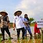 Penuhi Undangan Petani, Sosok Mentan SYL Sebagai Mutiara Hitam Dari Timur Terbukti