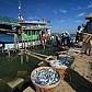 Korda LIN Maluku: Sertifikasi Kecakapan Nelayan Salah Satu Bukti Negara Peduli Nelayan